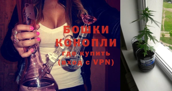 не бодяженный Бородино