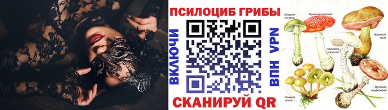 Псилоцибиновые грибы прущие грибы хочу Данилов